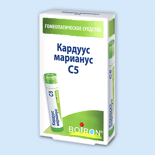 Кардуус марианус