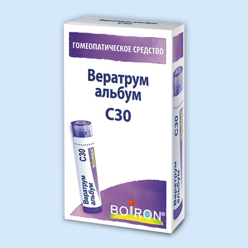 Вератрум альбум