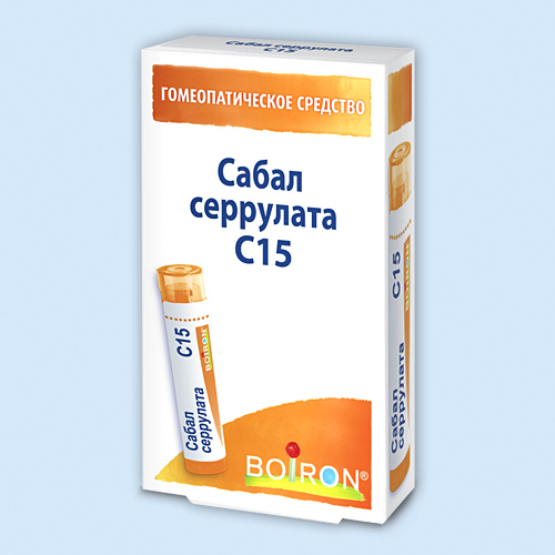 Сабал серрулата