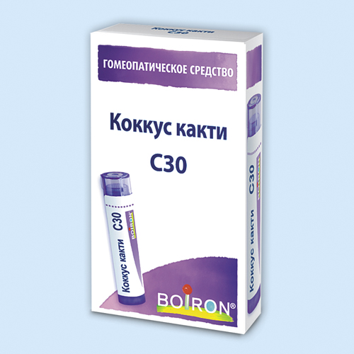 Коккус какти