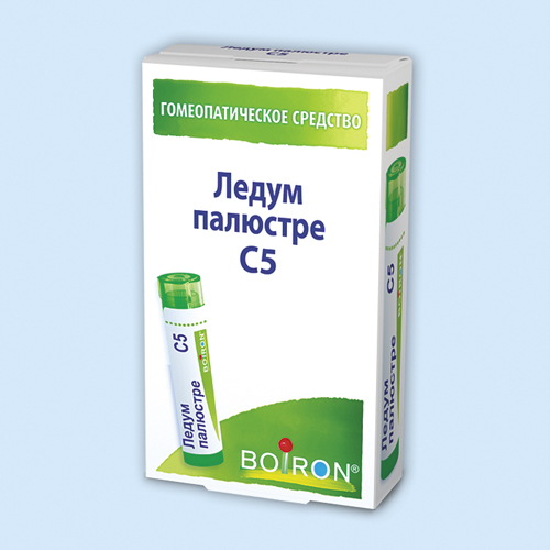 Ледум палюстре