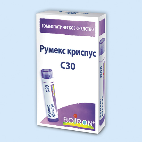 Румекс криспус