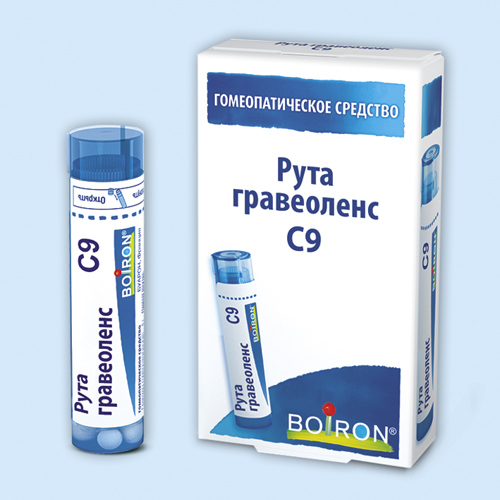 Рута гравеоленс