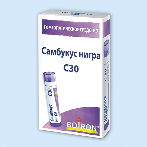 Самбукус нигра