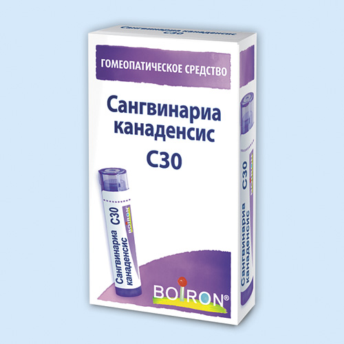 Сангвинариа канаденсис