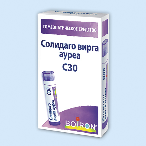 Солидаго вирга ауреа