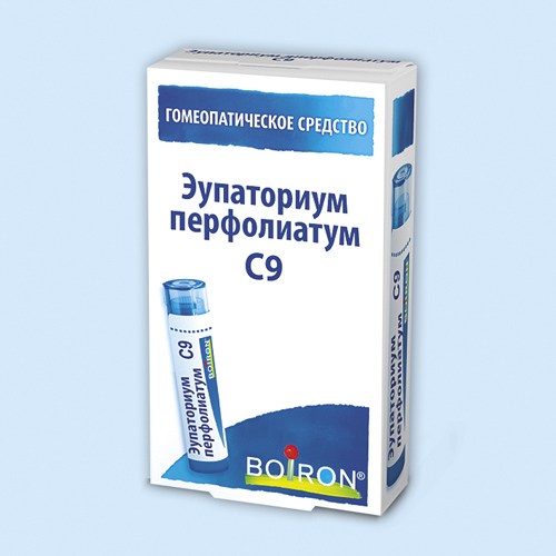 Эупаториум перфолиатум