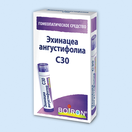 Эхинацеа ангустифолиа