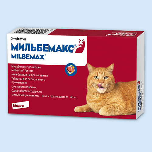 Мильбемакс для кошек инструкция по применению Мильбемакс для кошек инструкция по применению
