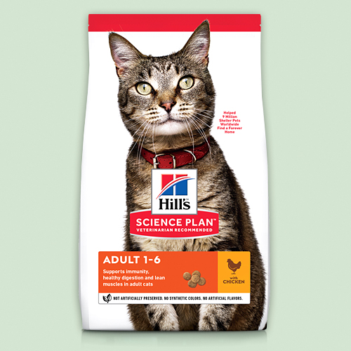 Повседневный рацион для взрослых кошек без специальных потребностей инструкция по применению Повседневный рацион для взрослых кошек без специальных потребностей инструкция по применению