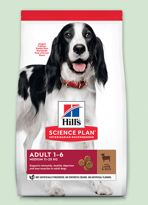 Повседневный рацион для взрослых собак средних пород инструкция по применению Повседневный рацион для взрослых собак средних пород инструкция по применению