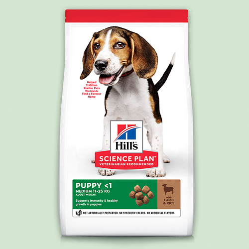 Повседневный рацион для щенков средних пород, а также беременных и лактирующих собак инструкция по применению Повседневный рацион для щенков средних пород, а также беременных и лактирующих собак инструкция по применению